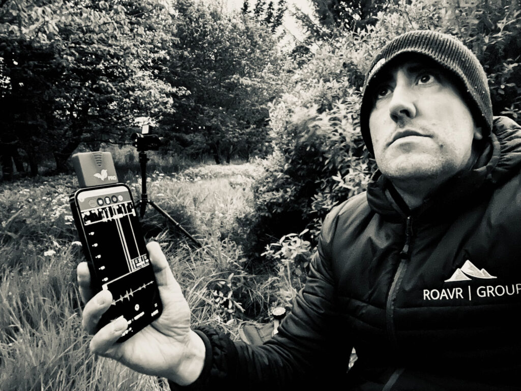 Bat survey for planning approval ensuring compliance with ecological requirements.
